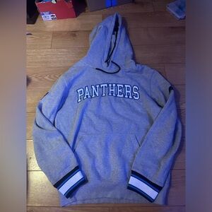 Panthers NFL Sweatshirt! 🩶💙🤍🩵